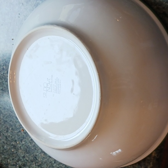 Large Studio Nova Bowl Garden Bloom - Picture 5 of 8